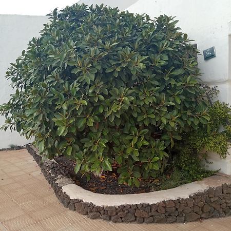 Aguas Verdes Betancuria Exterior photo