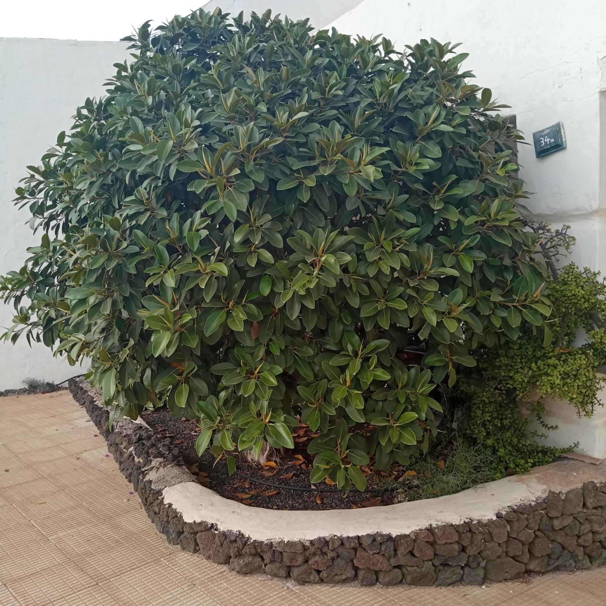 Aguas Verdes Betancuria Exterior photo